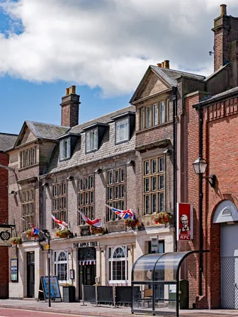 The Apple Tree in Carlisle