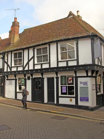 The Purple Dog in Colchester