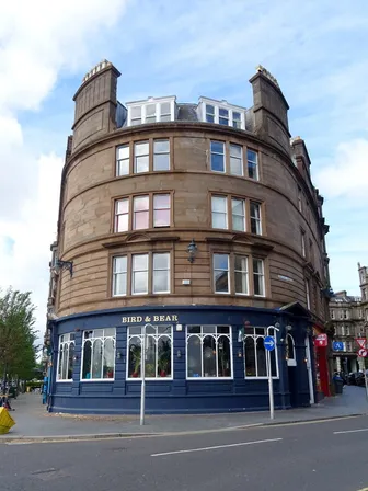 Bird & Bear in Dundee