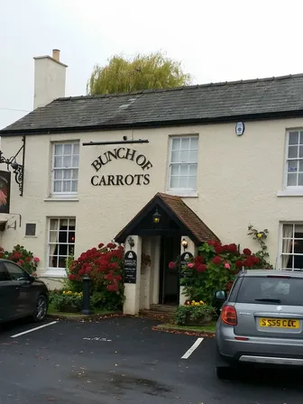 The Bunch of Carrots in Hereford