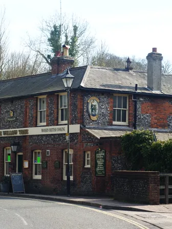 The Willow Tree in Winchester