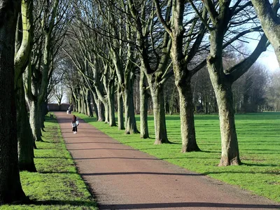 Rotherham