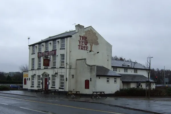 Yew Tree in Bamber Bridge