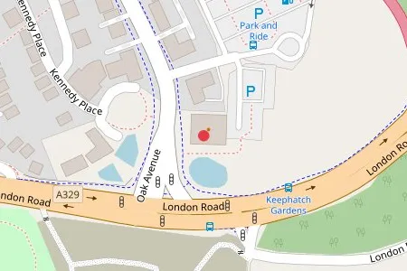 Oakingham Belle in Bracknell