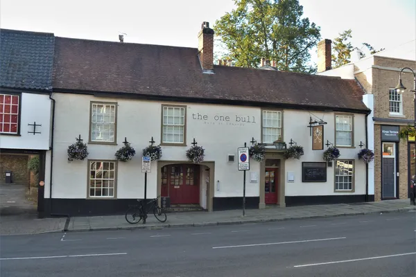 The One Bull in Bury
