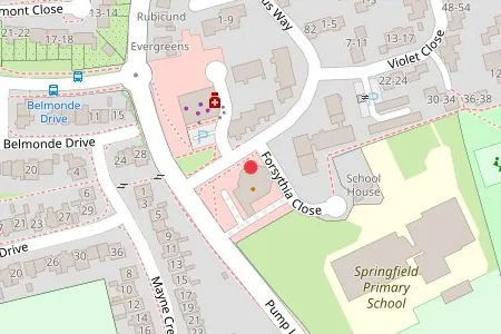Gardeners in Chelmsford