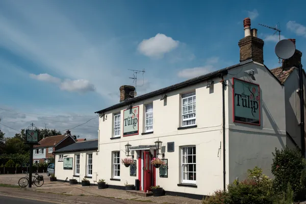 The Tulip in Chelmsford