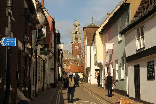 The Purple Dog in Colchester