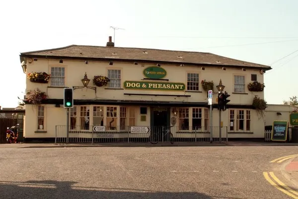 Dog & Pheasant in Colchester