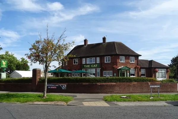 The Cat in Ellesmere Port