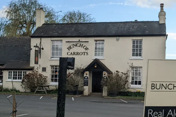 Bunch of Carrots in Hereford
