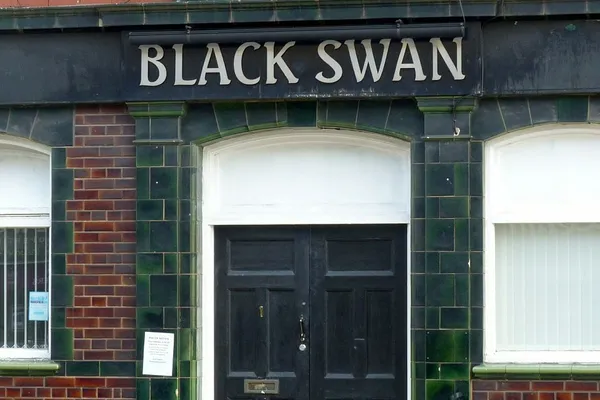 Swan Mansfield in Mansfield