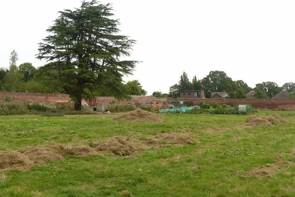 Wollaton Pub & Kitchen in Nottingham