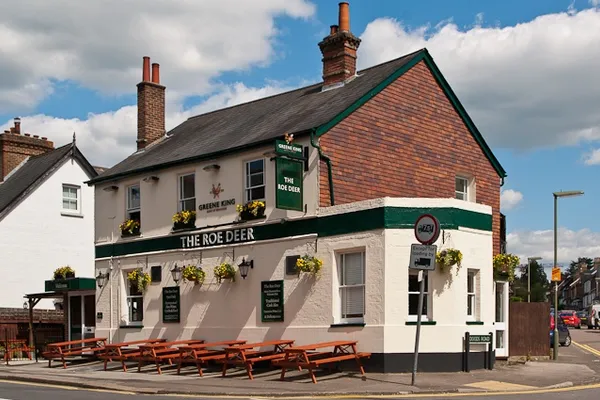 The Roe Deer in Reigate