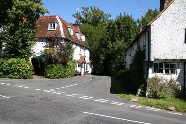 Dolphin in Reigate