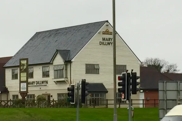 Mary Dillwyn in Swansea