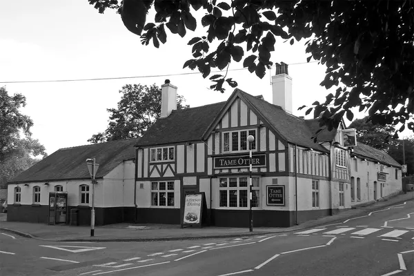 The Tame Otter in Tamworth