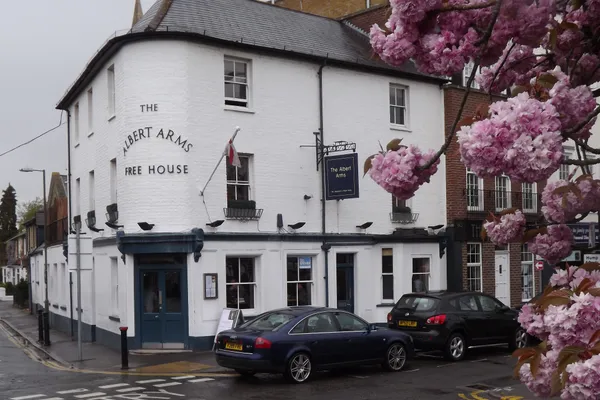 The Albert Arms in Walton-on-Thames