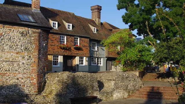 Parrot in Canterbury