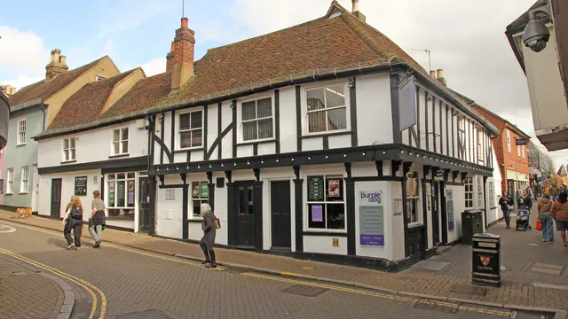 The Purple Dog in Colchester