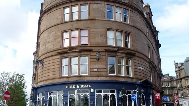 Bird & Bear in Dundee