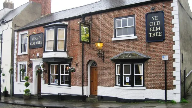 Ye Old Elm Tree in Durham