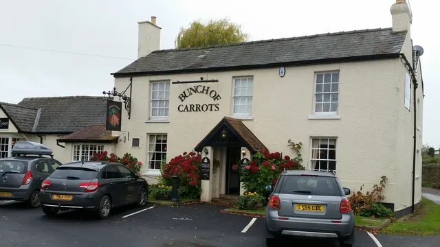 The Bunch of Carrots in Hereford