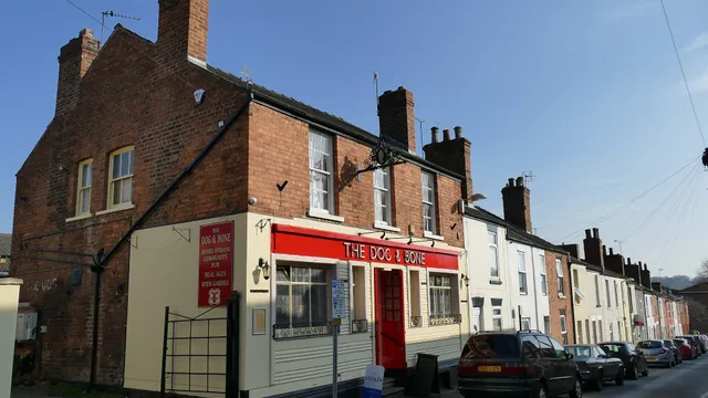 Dog and Bone in Lincoln