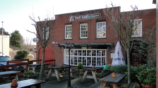 The Fat Cat & Canary in Norwich