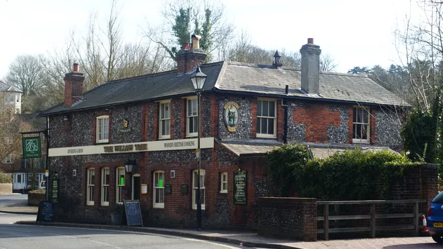 The Willow Tree in Winchester