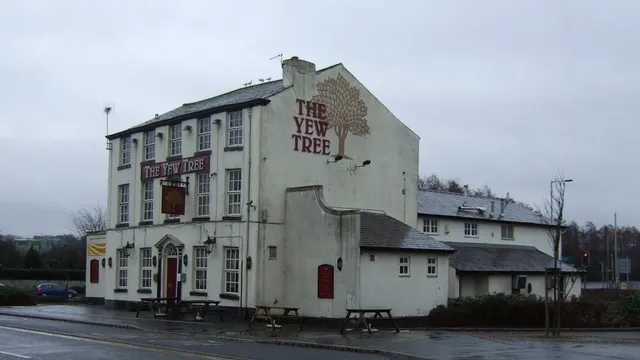 Yew Tree in Bamber Bridge