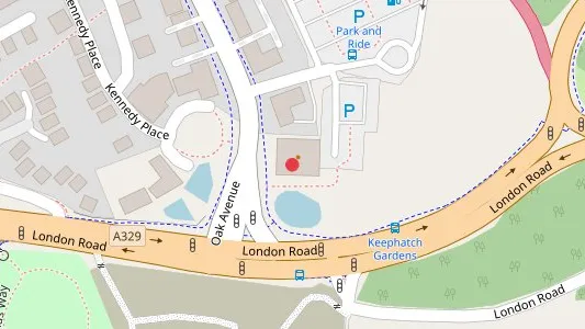 Oakingham Belle in Bracknell