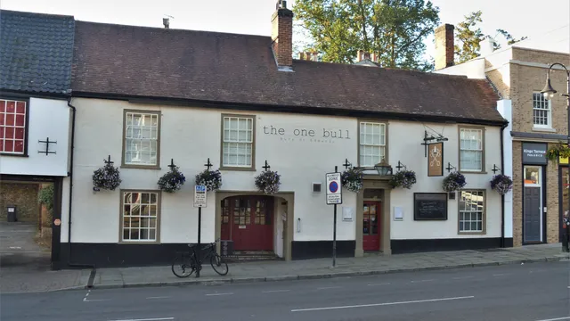 The One Bull in Bury
