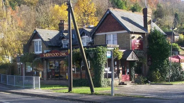 The Oak in Chatham