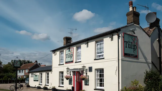 The Tulip in Chelmsford