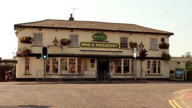 Dog & Pheasant in Colchester