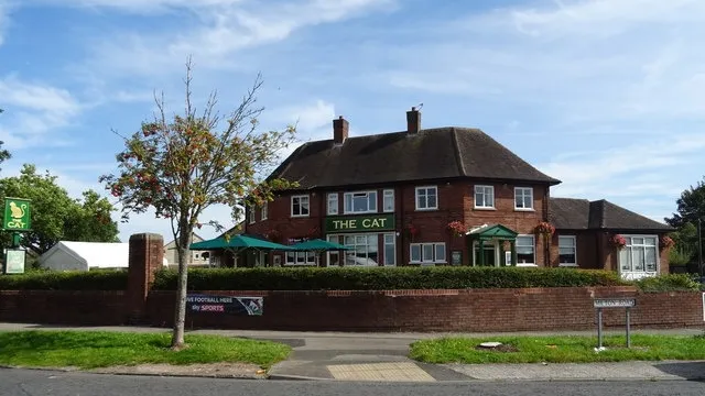 The Cat in Ellesmere Port