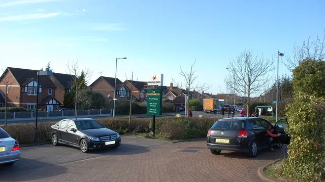 Sandmartin in Grays