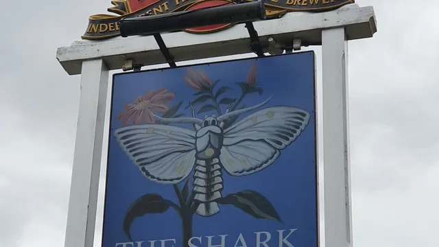 Shark in Harlow