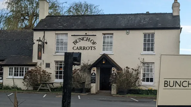 Bunch of Carrots in Hereford