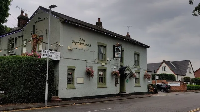 The Sycamores in Hinckley