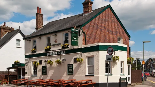 The Roe Deer in Reigate