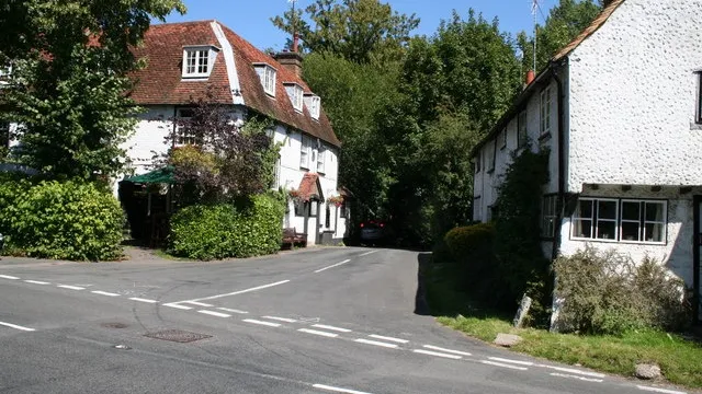 Dolphin in Reigate