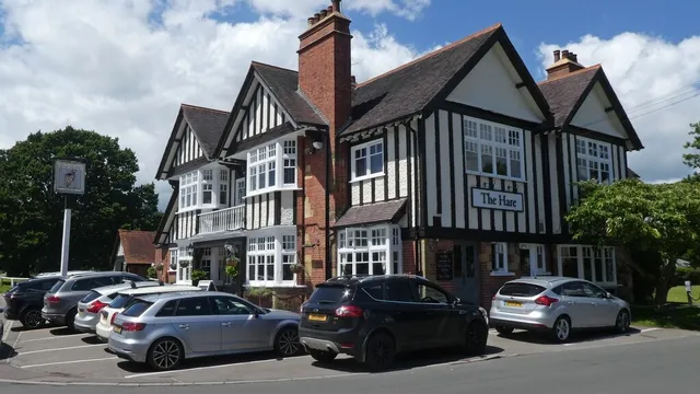 The Hare in Royal Tunbridge Wells