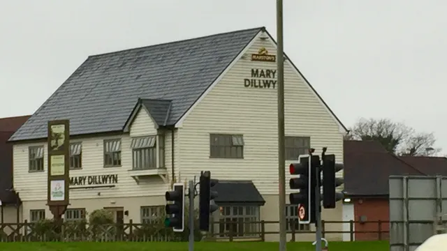 Mary Dillwyn in Swansea