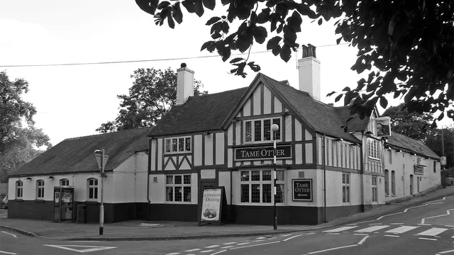 The Tame Otter in Tamworth