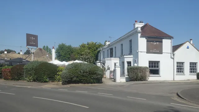 Minnow Weybridge in Walton-on-Thames