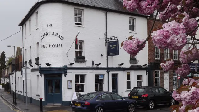 The Albert Arms in Walton-on-Thames