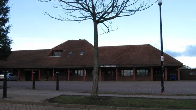 Cherry Tree in Washington