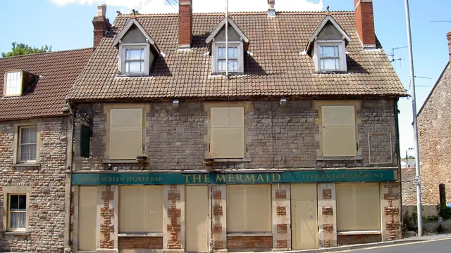 The Sheep & Penguin in Wells